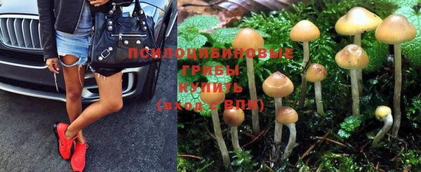мдма Горнозаводск