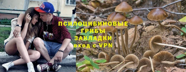 PSILOCYBIN Горняк