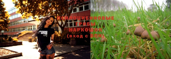 первитин Вяземский