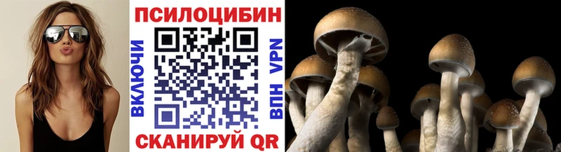 Купить закладки  Искитим  Галлюциногенные грибы мицелий 